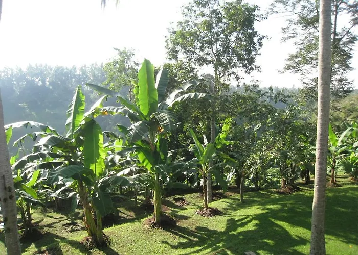 Sanggingan Ubud
