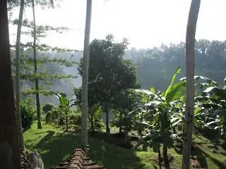 Sanggingan Ubud